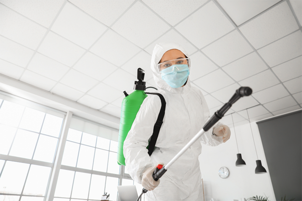 Fumigation-Services-Provide