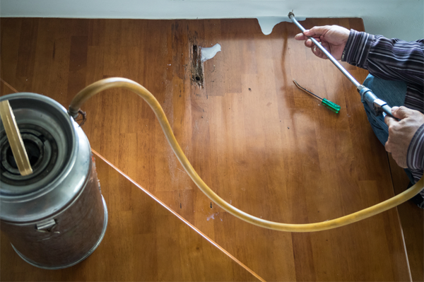 Termite-Treatment-Solutions